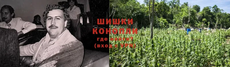 Бошки Шишки White Widow  Богданович 